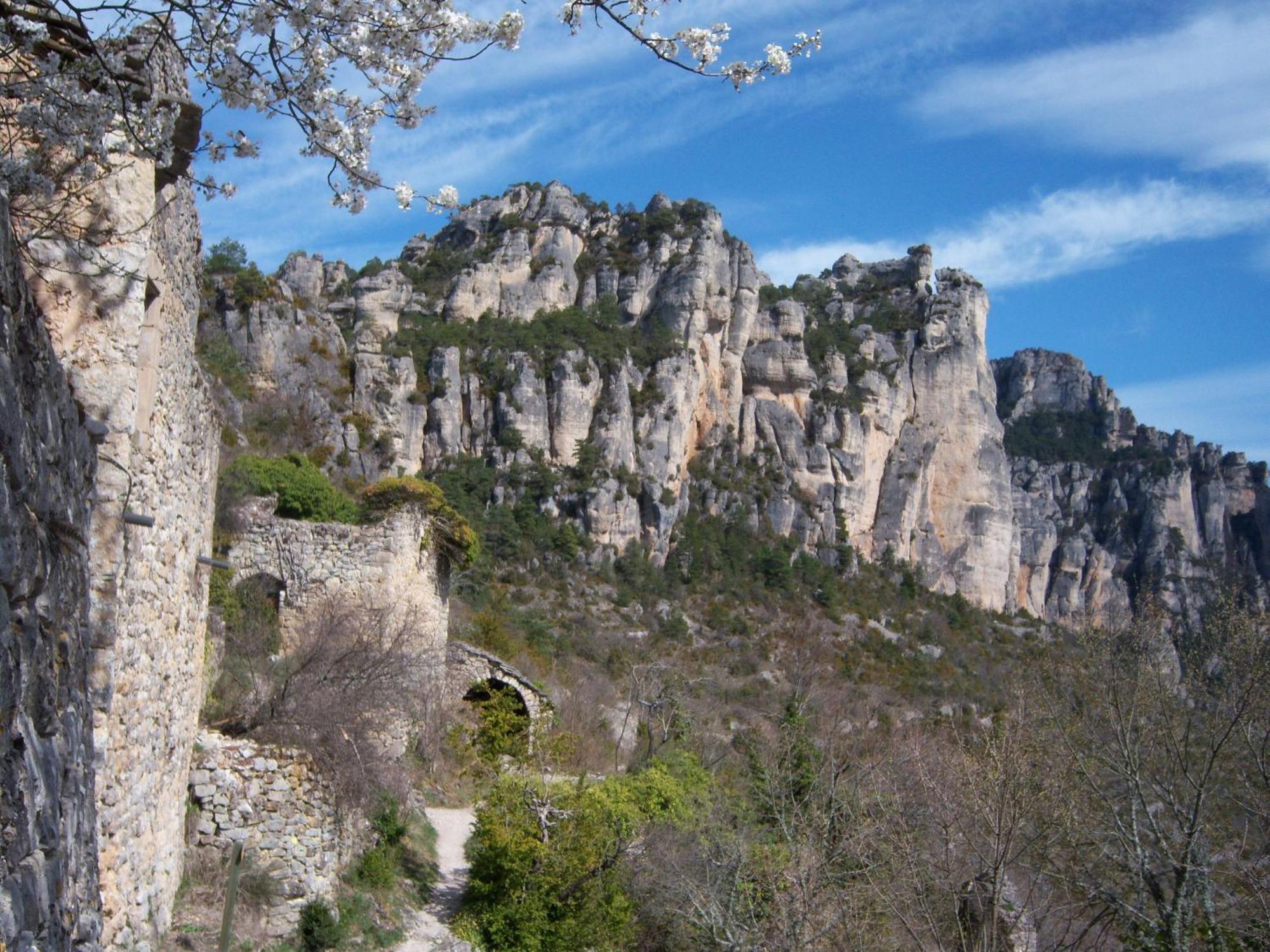 Ermitage De Peyreleau Bed and Breakfast Εξωτερικό φωτογραφία