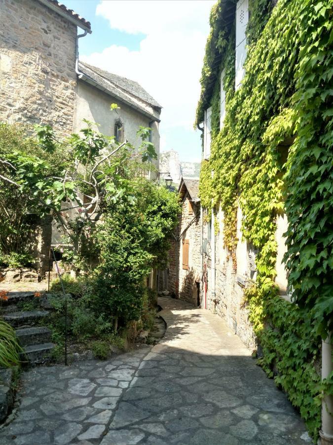 Ermitage De Peyreleau Bed and Breakfast Εξωτερικό φωτογραφία